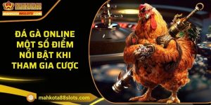 Đá gà online - Một số điểm nổi bật khi tham gia cược