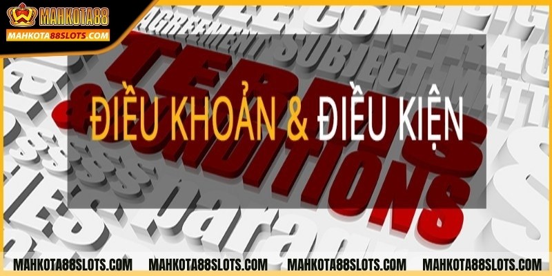 Nội dung điều khoản & điều kiện