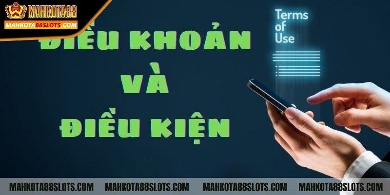 Điều khoản điều kiện trong thanh toán