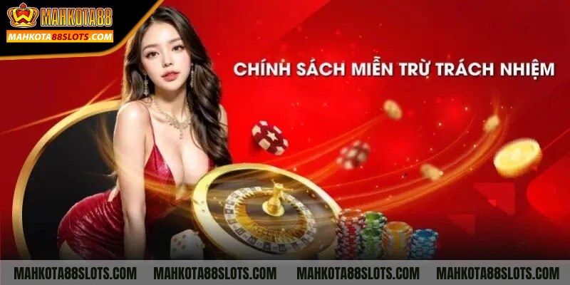 Tổng quan về chính sách miễn trừ trách nhiệm