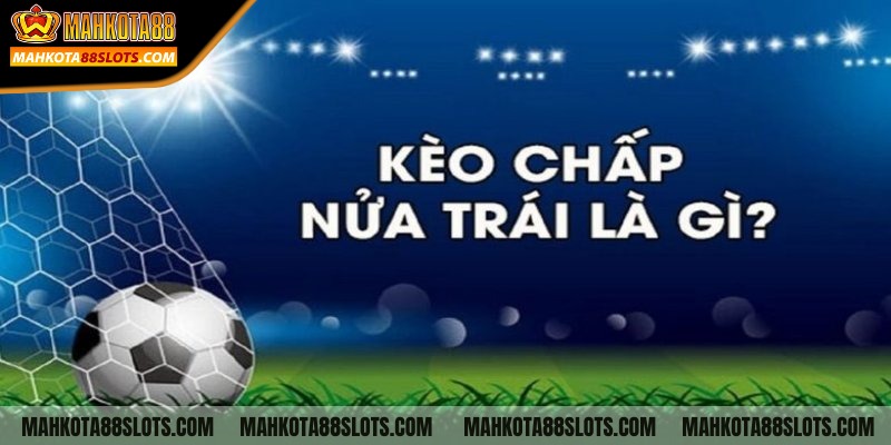Kèo chấp nửa trái (0.5) là gì? Hướng dẫn đọc kèo chi tiết 1 Kèo chấp nửa trái (0.5) là gì?